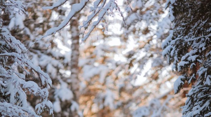 woman walking through snow covered alley