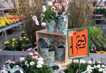 Záhradné centrum v Hornbach je otvorené