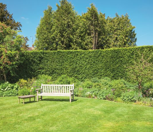 Založte si trávnik a trávte čas na záhrade