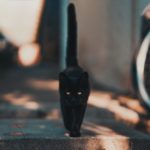 black cat walking on road