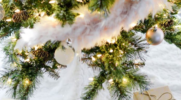 four boxes near lighted string lights