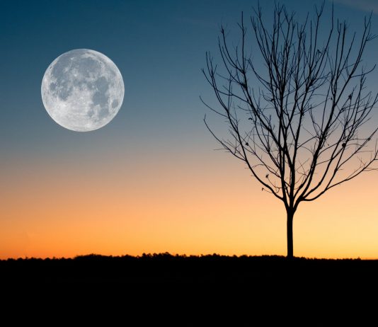 full moon on a daybreak