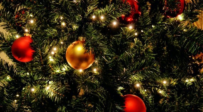 green christmas tree with red baubles