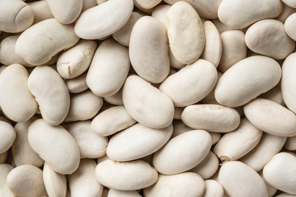 close up shot of white beans
