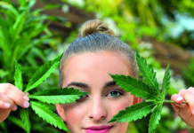 Novinky Cannabis od značky Dermacol