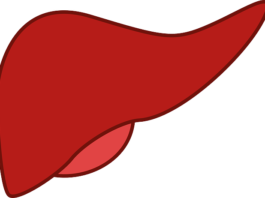 Steatotické ochorenie pečene spojené s metabolickou dysfunkciou (MASLD) je skupina ochorení pečene, ku ktorým dochádza, keď naše telo ukladá veľa tuku do pečene.