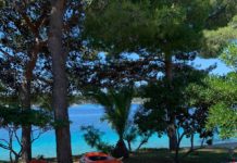 Apartmán v Milne na prenájom