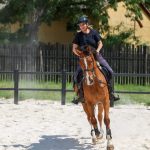 Jazda na koni - ako vďaka nej prekonať strach