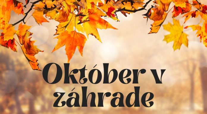 Pripravte svoju záhradu na zimu.