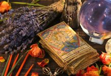 Horoskop pre jednotlivé znamenia – január 2024 Hioroskop na január pre jednotlivé znamenia.