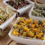 Liečivé bylinky - ako ich zbierať, kde ich zbierať a ako ich miešať?