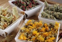 Liečivé bylinky - ako ich zbierať, kde ich zbierať a ako ich miešať?