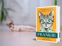 Frankie je humorný príbeh o hľadaní chuti do života. Muž, ktorý chce zomrieť. Kocúr, ktorý hľadá domov.