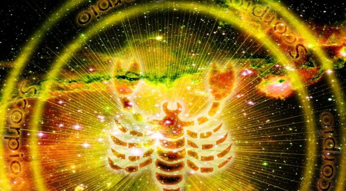 Škorpión (23. október – 22. november) je znamenie zverokruhu ovládanej planétou Mars a Plutom.
