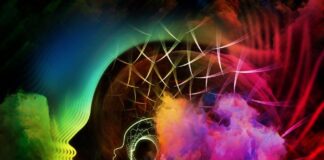 Ľudia sa od nepamäti snažia pochopiť, prečo sú muži a ženy takí rozdielni – v myslení, vnímaní sveta či riešení problémov. Odpoveď sa skrýva v našich mozgoch. Aj keď máme rovnaký orgán, jeho fungovanie sa líši na mnohých úrovniach.