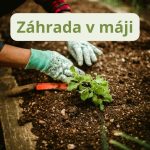 Máj je pre záhradkárov jedným z najkrajších, ale aj najintenzívnejších mesiacov v roku. Príroda je v plnom rozkvete, dni sú dlhšie a teplejšie, a záhrada sa prebudila do svojej plnej sily.