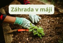 Záhrada v máji: Mesiac plný života, kvetov a práce Máj je pre záhradkárov jedným z najkrajších, ale aj najintenzívnejších mesiacov v roku. Príroda je v plnom rozkvete, dni sú dlhšie a teplejšie, a záhrada sa prebudila do svojej plnej sily.