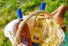 Objavte novinku vo svete vín, ktorú si zamilujete pri každej príležitosti! Radi by ste si „štrngli“ s priateľmi na oslave, no alkohol nie je vaša ideálna voľba? Alebo si radi doprajete pohár vína k jedlu, ale musíte ešte šoférovať? Vďaka novinke Vitis Galéria v nealkoholickej verzii si to, čo máte radi, môžete vychutnať naozaj kedykoľvek.