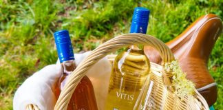 Radi by ste si „štrngli“ s priateľmi na oslave, no alkohol nie je vaša ideálna voľba? Alebo si radi doprajete pohár vína k jedlu, ale musíte ešte šoférovať? Vďaka novinke Vitis Galéria v nealkoholickej verzii si to, čo máte radi, môžete vychutnať naozaj kedykoľvek.