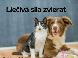 Volal sa Hugo. Aj keď vlastne... najprv sa vôbec nevolal. Objavil sa jedného chladného novembrového rána na našej záhrade, presne v deň, keď by môj manžel oslavoval svoje 64. narodeniny.