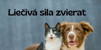 Volal sa Hugo. Aj keď vlastne... najprv sa vôbec nevolal. Objavil sa jedného chladného novembrového rána na našej záhrade, presne v deň, keď by môj manžel oslavoval svoje 64. narodeniny.