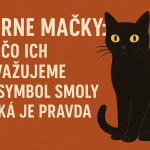 Čierne mačky odjakživa vzbudzovali pozornosť. Pre jedných sú tajomné a elegantné, pre iných symbolom smoly a nešťastia.