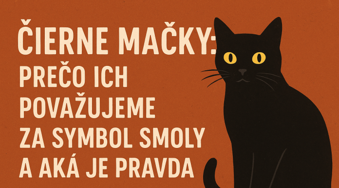 Čierne mačky odjakživa vzbudzovali pozornosť. Pre jedných sú tajomné a elegantné, pre iných symbolom smoly a nešťastia.