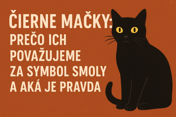 Čierne mačky odjakživa vzbudzovali pozornosť. Pre jedných sú tajomné a elegantné, pre iných symbolom smoly a nešťastia.