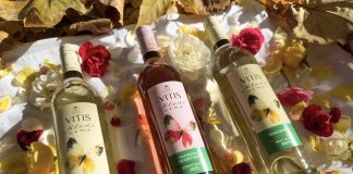 Všetky odrody v tejto línii sú slovenského pôvodu a pochádzajú z Južnoslovenskej vinohradníckej oblasti. 