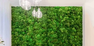 Mach pôsobí mäkko, tlmí vizuálny chaos a vytvára pocit kontaktu s prírodou – aj tam, kde by ste ho nečakali. Biofilný dizajn, teda prepájanie interiéru s prírodnými prvkami, nie je len trendom architektov.