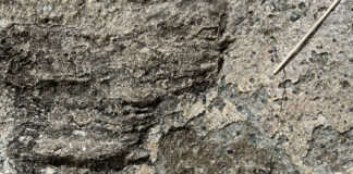 Značka NEUMA ponúka mini verzie obľúbených produktov, ktoré sú praktické, skladné a pritom rovnako účinné.