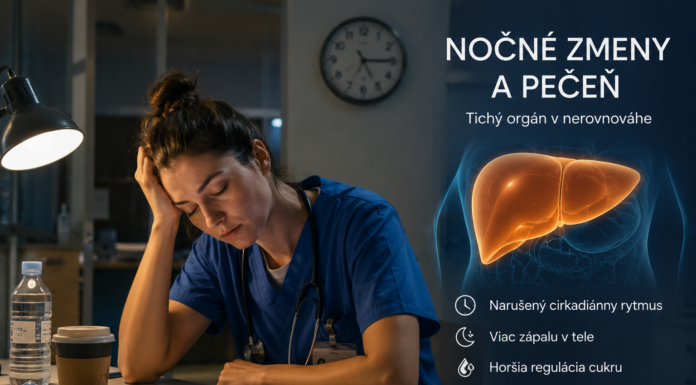 Pri práci na zmeny sa pritom nemení iba čas spánku. Často sa mení aj čas, kedy človek jedáva, odpočíva a má priestor na pohyb.