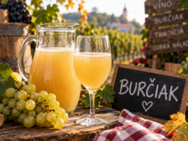 Burčiak. Sladký, jemne perlivý, zakalený nápoj, ktorý chutí trochu ako hroznový džús, trochu ako mladé víno. A práve preto môže byť zradný.